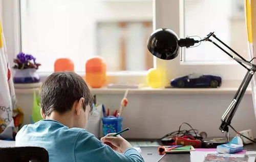 教育局發文加強教育咨詢服務，家長監督職責獲強化